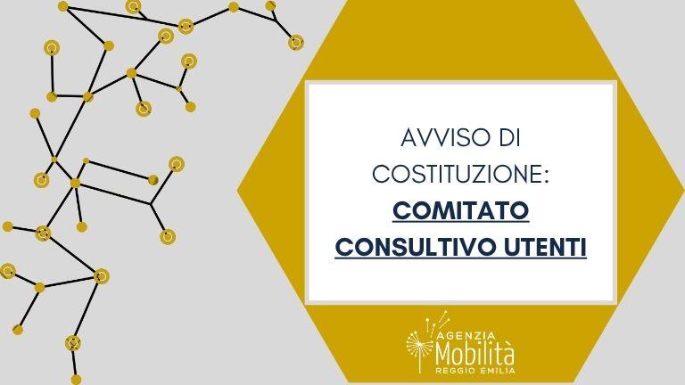 Costituzione CCU